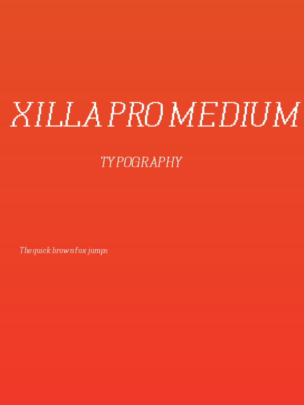 Xilla Pro Medium Italic Poster