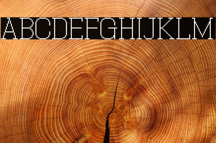 Xilla Pro Regular Font examples
