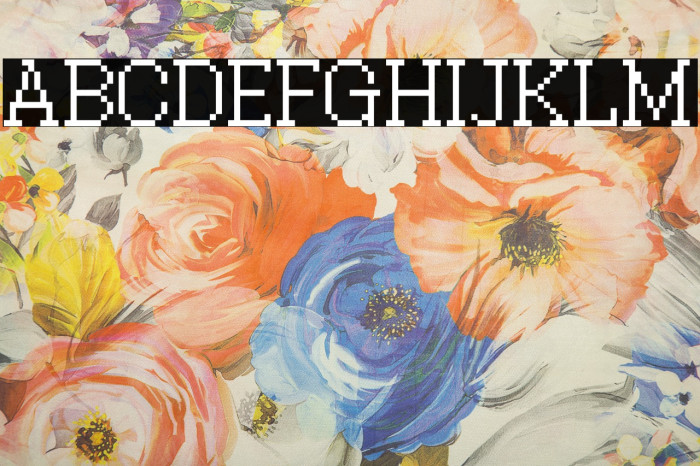Xilla Regular Font examples