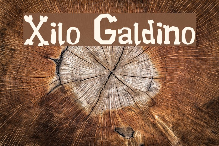 Xilo Galdino Polices examples
