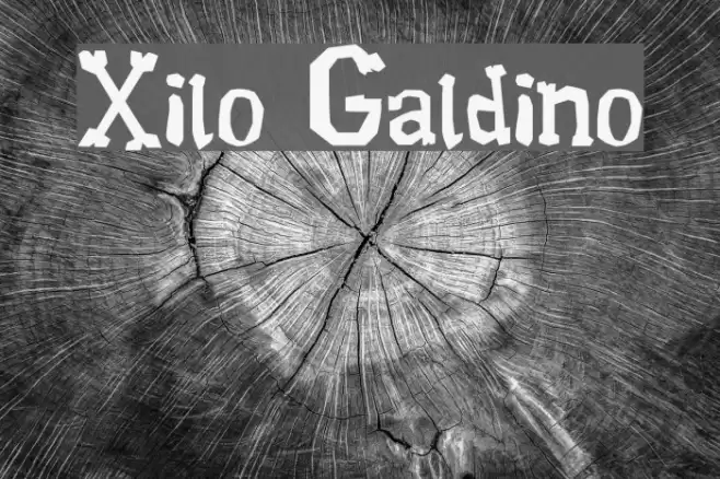Xilo Galdino Font examples