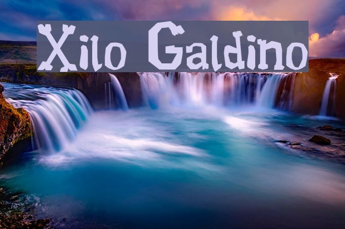 Xilo Galdino Polices examples