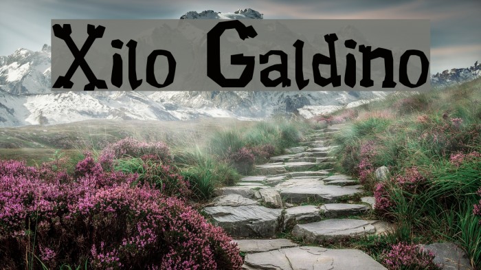 Xilo Galdino Polices examples