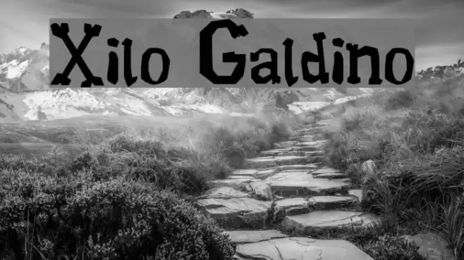 Xilo Galdino Font examples