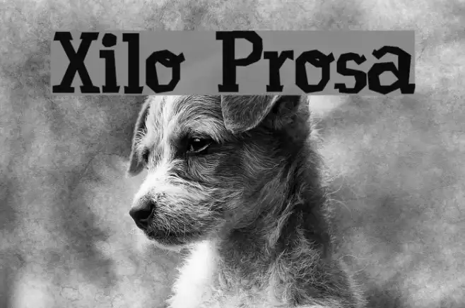 Xilo Prosa Example 1
