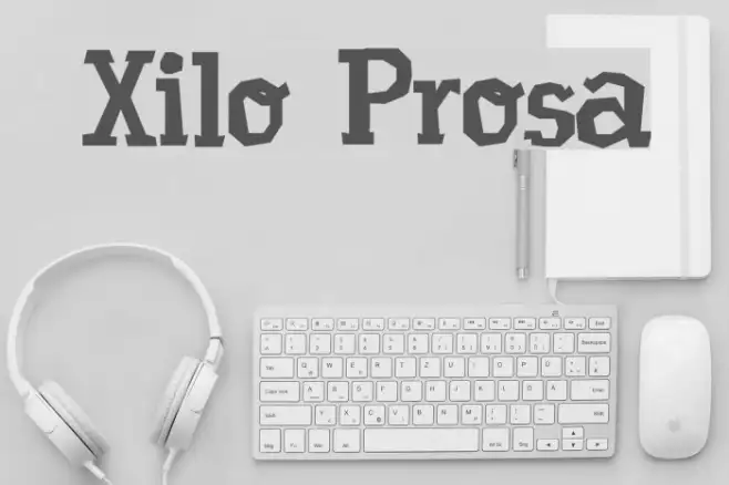 Xilo Prosa Example 2