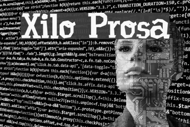 Xilo Prosa Example 3