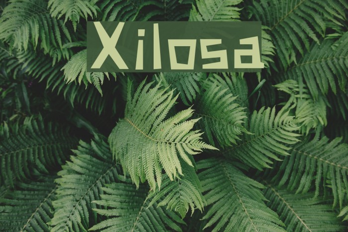 Xilosa Font examples