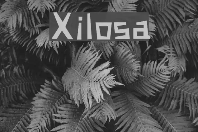 Xilosa Font examples