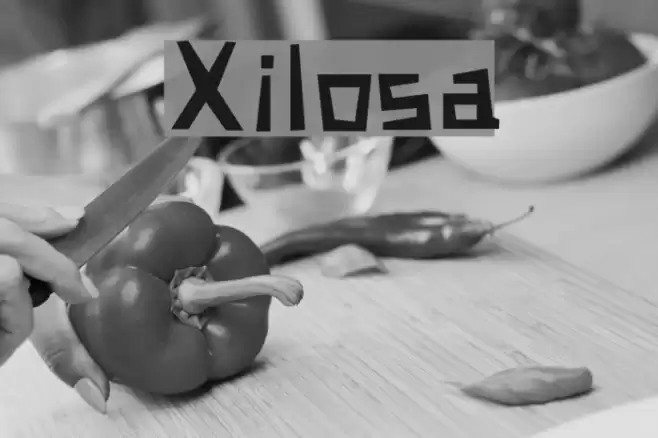 Xilosa Font examples