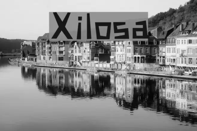 Xilosa Font examples