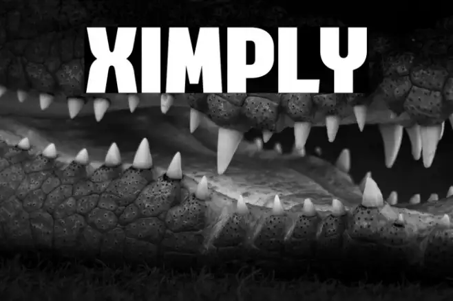 Ximply Example 1