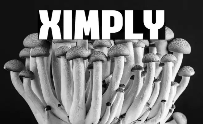 Ximply Example 2