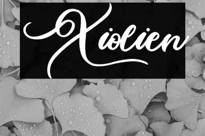 Xiolien Example 1