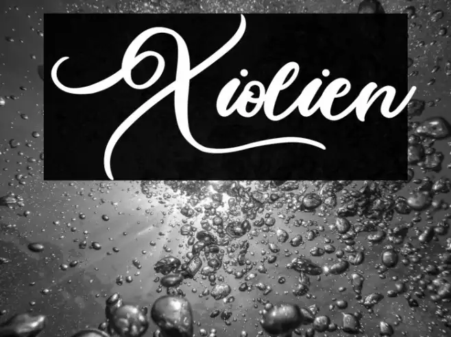 Xiolien Example 2