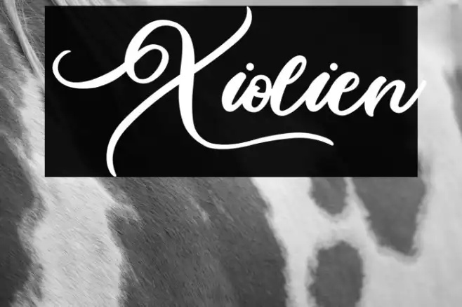 Xiolien Example 3
