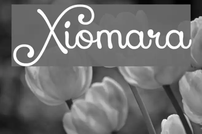 Xiomara Font examples