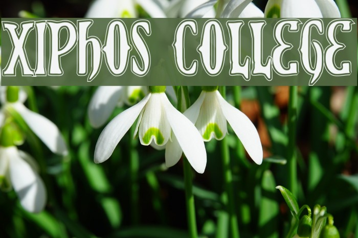 Xiphos College Font examples
