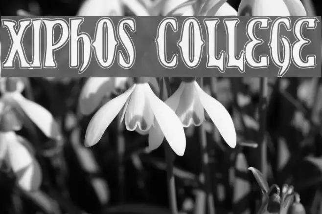 Xiphos College Example 3