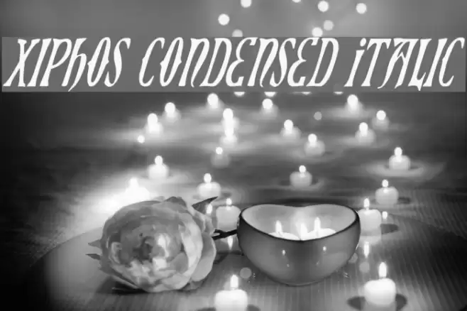 Xiphos Condensed Italic フォント examples