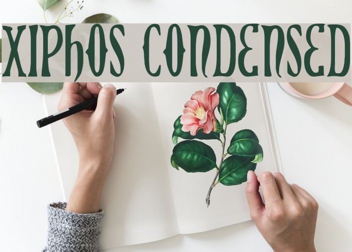 Xiphos Condensed フォント examples