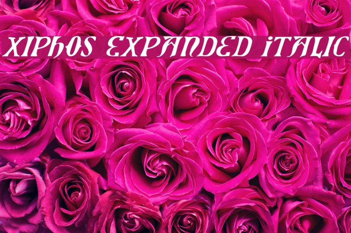 Xiphos Expanded Italic Font examples