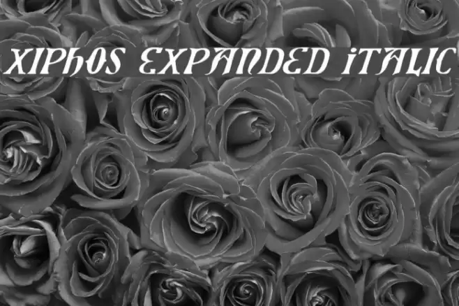 Xiphos Expanded Italic Шрифта examples