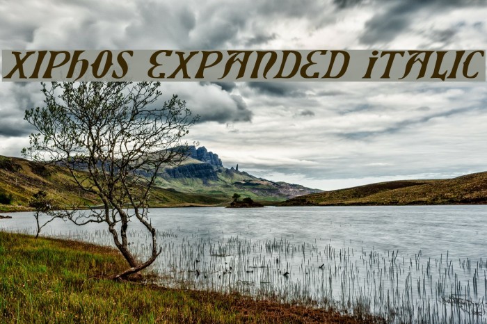 Xiphos Expanded Italic Font examples