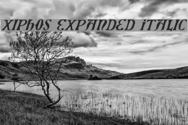 Xiphos Expanded Italic Шрифта examples