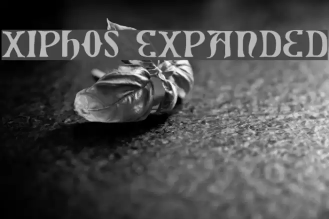Xiphos Expanded Font examples