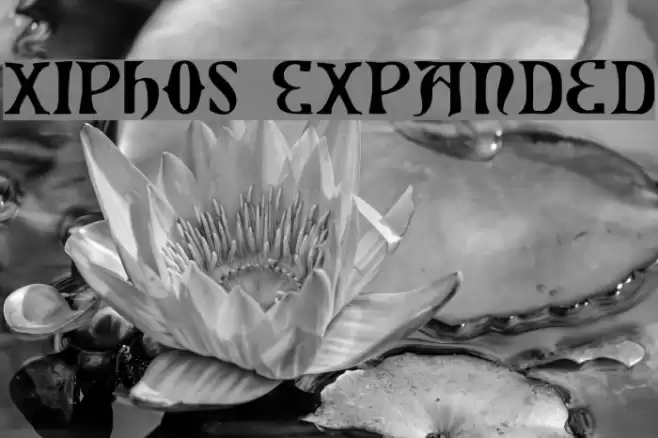 Xiphos Expanded Font examples
