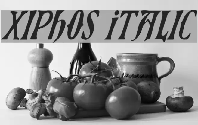 Xiphos Italic フォント examples