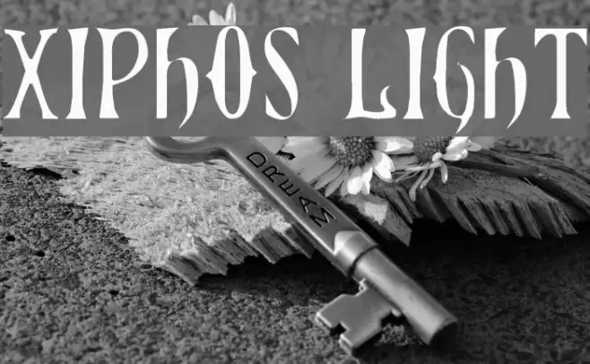 Xiphos Light Example 2