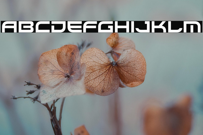 Xirod-Regular Example 1