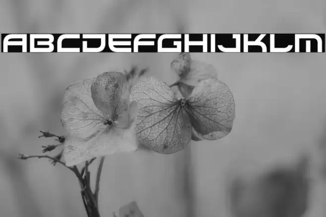 Xirod-Regular Font examples