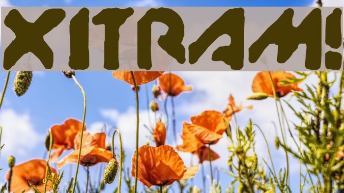 XitRAM! Font examples