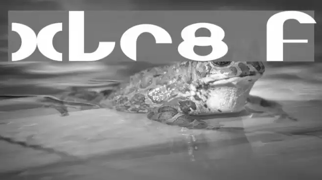 XLR8 Font examples