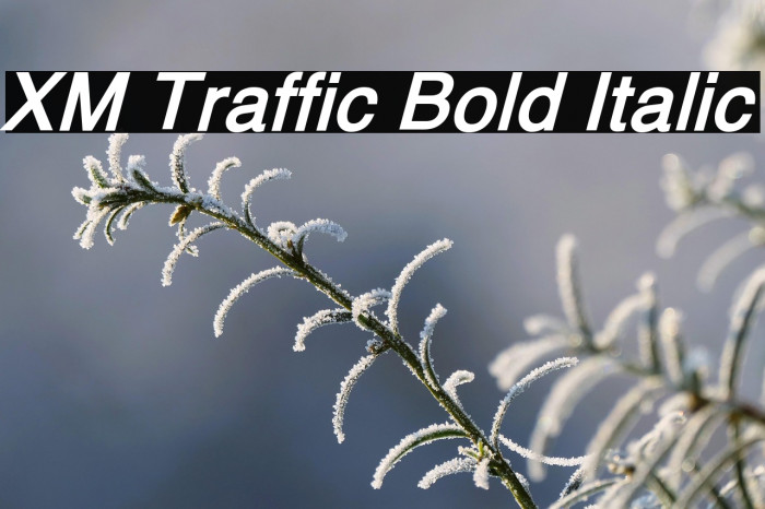 XM Traffic Bold Italic Example 3
