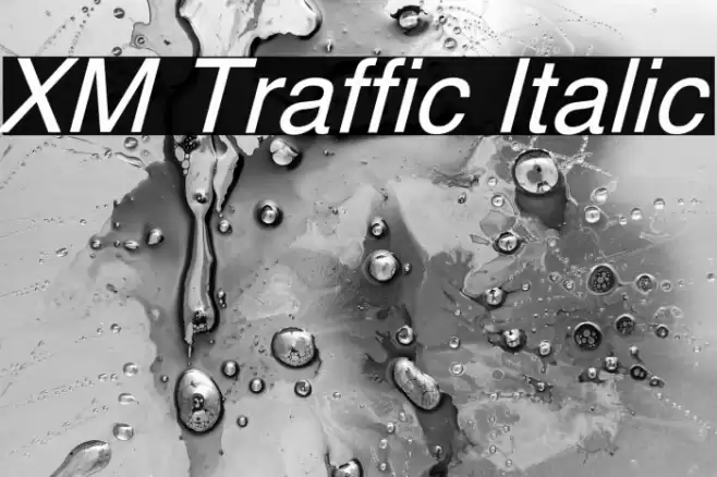 XM Traffic Italic Font examples