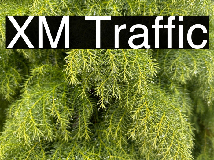 XM Traffic Example 1