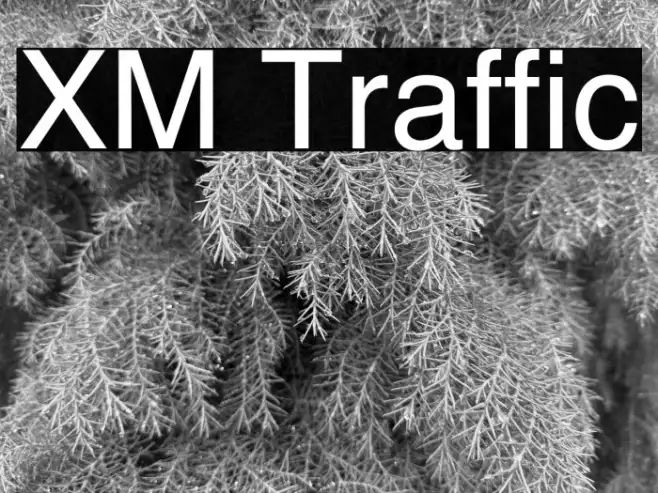 XM Traffic Example 1