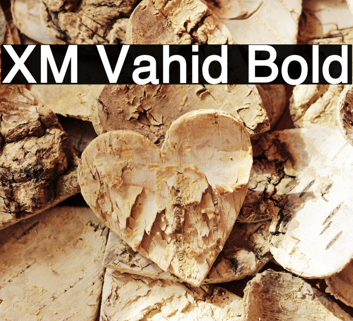 XM Vahid Bold Font examples