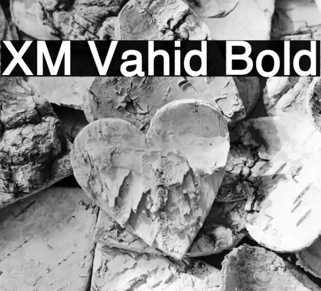 XM Vahid Bold Example 1