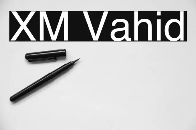 XM Vahid Example 1