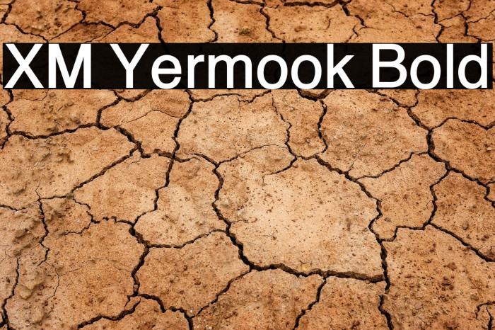 XM Yermook Bold Font examples