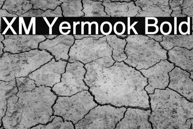 XM Yermook Bold Example 1