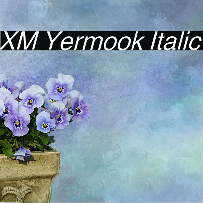XM Yermook Italic Font examples