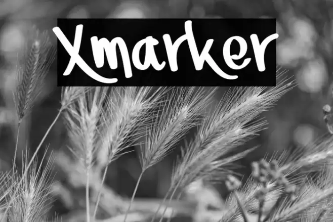 Xmarker Font examples