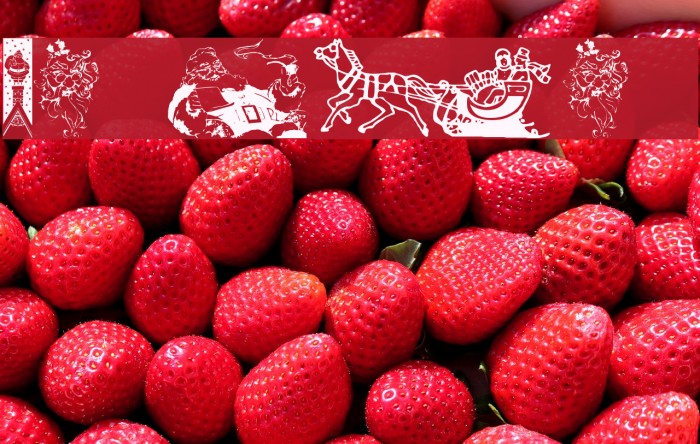 Xmas Clipart 2 Font examples