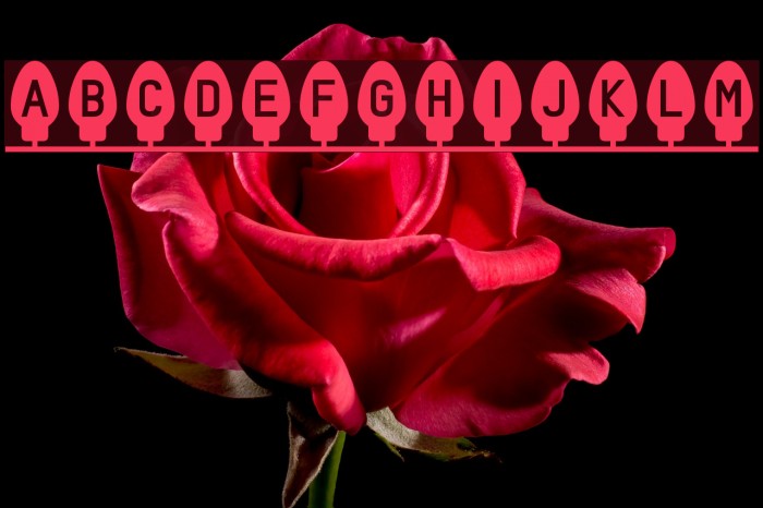 Xmas Fairy Lights Solid Font examples